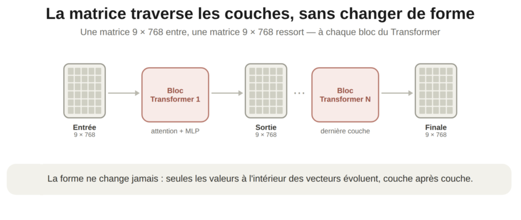 la matrice traverse les couches