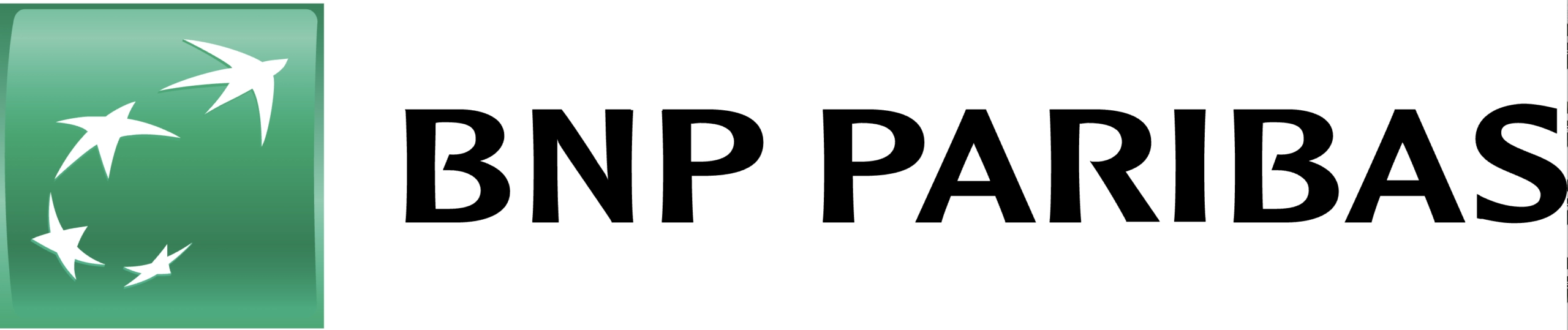 logo BNP
