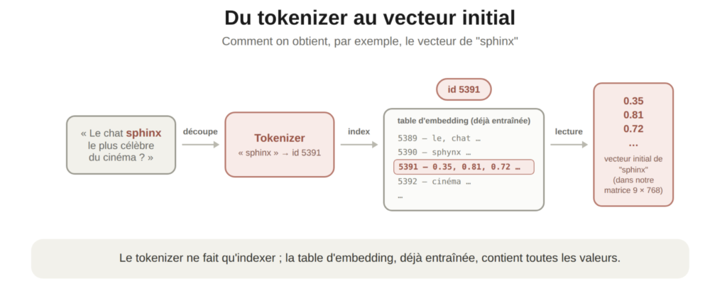 du tokenizer au vecteur initial